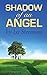 Shadow of an Angel by Lee Stevenson