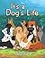 It’s a Dog’s Life