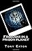 Freedom in a prison planet