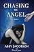 Chasing My Angel (Book I)