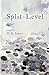 Split-Level