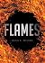 Flames by Dana S Milson Flames by Dana S Milson