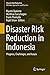 Disaster Risk Reduction in ...
