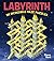 Labyrinth: 101 Incredible M...
