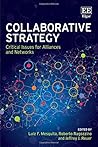 Collaborative Strategy: Critical Issues for Alliances and Networks