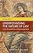 Understanding the Nature of Law: A Case for Constructive Conceptual Explanation (Elgar Studies in Legal Theory)