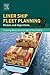 Liner Ship Fleet Planning: Models and Algorithms