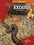 Exodus: Set Free, Set Apart, Inductive Bible Study Curriculum Teacher Guide
