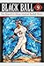 Black Ball 9: New Research in African American Baseball History