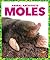 Moles (Pogo: Animal Architects)
