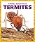 Termites (Pogo: Animal Architects)
