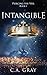 Intangible (Piercing the Veil)
