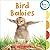 Bird Babies