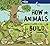How Animals Build 1ed -anglais-