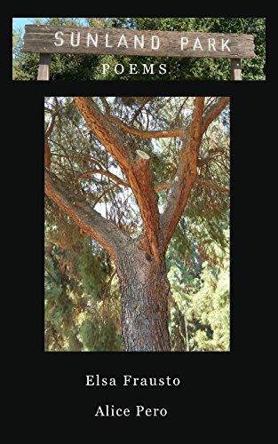 Sunland Park Poems (Paperback)