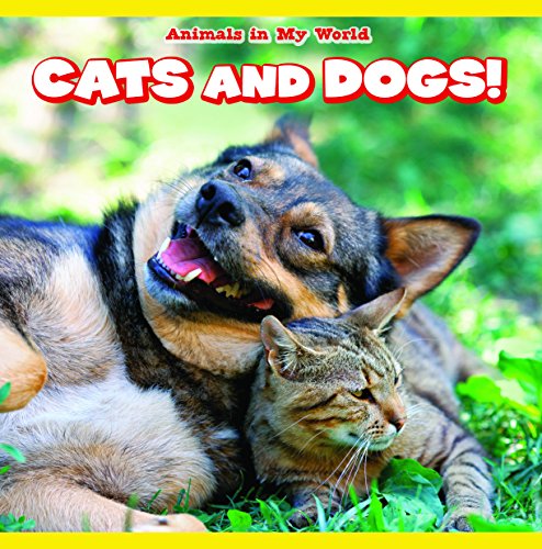 Cats and Dogs! (Animals in My World)