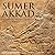 Sumer and Akkad Children's Middle Eastern History Books