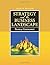 Strategy and the Business Landscape