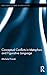 Conceptual Conflicts in Metaphors and Figurative Language (Routledge Studies in Linguistics)