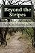 Beyond the Stripes by Justin D. Harvison