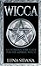 Wicca: An Introductory Guide For The Aspiring Witch