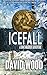 Icefall: A Dane Maddock Adventure