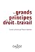 Les grands principes du dro...