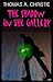 The Shadow in the Gallery