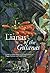 Lianas of the Guianas: Guide to the Woody Climbers in the Tropical Forests of Guyana, Suriname and French Guiana