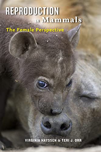 Reproduction in Mammals: The Female Perspective (Hardcover)