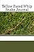 Yellow Faced Whip Snake Journal
