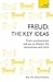 Freud - The Key Ideas: An introduction to Freud's pioneering work on psychoanalysis, sex, dreams and the unconscious (Teach Yourself)