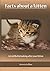 Facts about a kitten: get s...