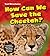 How Can We Save the Cheetah? (Young Explorer: Text Structures)