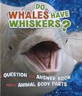 Do Whales Have Whiskers?