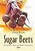 Sugar Beets: Production, Us...