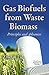 Gas Biofuels from Waste Biomass: Principles and Advances (Energy Science, Engineering and Technology)