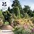 Packwood House: National Tr...