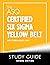 The ASQ Certified Six Sigma Yellow Belt Study Guide