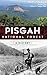 Pisgah National Forest: A History