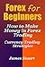 Forex for Beginners: How to Make Money in Forex Trading (Currency Trading Strategies)