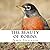 The Beauty of Robins: A tex...