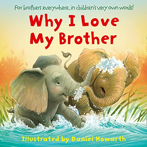 Why I Love My Brother (Board Book)