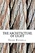 The Architecture of Light