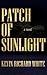 Patch Of Sunlight by Kevin Richard White
