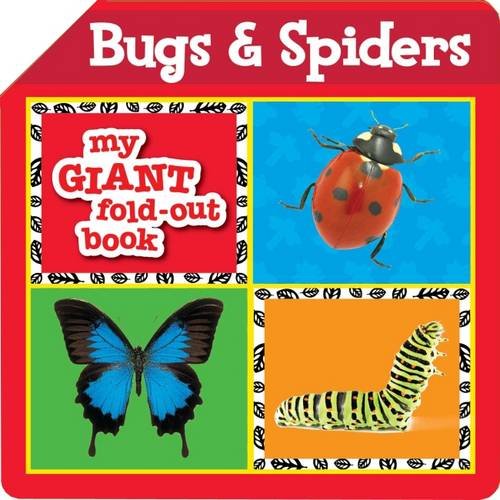 bugs and spiders my giant fold-out book (Hardcover)