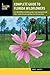 Complete Guide to Florida W...
