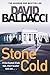 Stone Cold (Camel Club, #3)