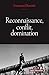Reconnaissance, conflit, domination