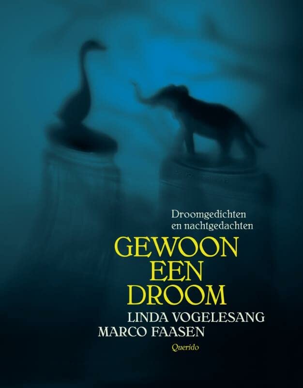Gewoon een droom (Hardcover)
